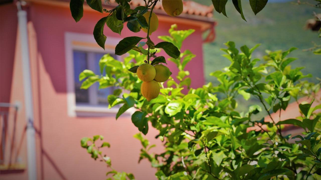 Hotel Tourist Parga Ngoại thất bức ảnh